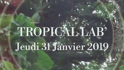 Festival Tropical Lab : 31 Janvier 2019, La Cigale, J-7